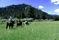 Montana Horse Ranch for Sale